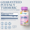 SOLARAY Turmeric Supplement 300 mg - Turmeric Root Extract with 95% Curcumin