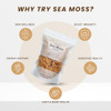 Raw Wildcrafted Gold Sea Moss from St. Lucia, Sun-Dried Whole Leaf Irish Moss