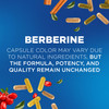 Nutrivein Premium Berberine 1200 mg with Ceylon Cinnamon