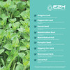 E2H Advanced Intestinal Support