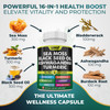 Wixar Sea Moss 3000mg Black Seed Oil 2000mg Ashwagandha 1000mg Turmeric 1000mg