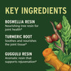Banyan Botanicals Organic Joint Support-Advanced Mobility & Flexibility