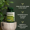 Banyan Botanicals Organic Stress Ease - Adrenal Support & Resilience Supplement