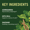 Banyan Botanicals Organic Stress Ease - Adrenal Support & Resilience Supplement