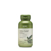 GNC Herbal Plus Olive Leaf 500mg Supplement, Vegetarian, Supports General