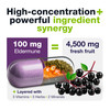 HybridEB Sambucus Elderberry Immune Support with Vitamin C, Zinc, Vitamin D3