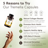 Organic Tremella Mushroom Capsules Supplement (120)