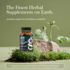 Gaia Herbs Menopause Support Daytime