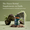 Gaia Herbs SleepThru