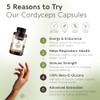 Organic Cordyceps Mushroom Capsules Supplement (120)