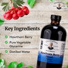 Christopher's Original Formulas Hawthorn Berry Heart Syrup - 16 fl oz
