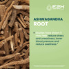 E2H Ashwagandha Liquid Drops