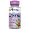 SOLARAY Mastic Gum Extract 500 mg 45 Count