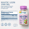 SOLARAY Mastic Gum Extract 500 mg 45 Count
