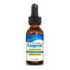 NORTH AMERICAN HERB & SPICE Gingerol - 1 fl oz