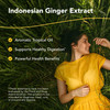 NORTH AMERICAN HERB & SPICE Gingerol - 1 fl oz