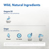 NORTH AMERICAN HERB & SPICE Gingerol - 1 fl oz