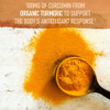 Garden of Life Organics Extra Strength Turmeric Inflammatory Response 120