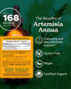 Herb Pharm Certified Organic Artemisia Annua (Sweet Annie) Liquid Extract