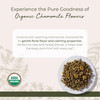 Starwest Botanicals Organic Chamomile Flowers Whole