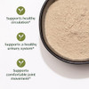 Banyan Botanicals Organic Punarnavadi Guggulu Tablets