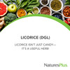 NaturesPlus Herbal Actives Licorice (DGL) 500 mg
