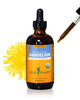 Herb Pharm Certified Organic Dandelion Liquid Extract for Cleansing