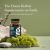 Gaia Herbs Holy Basil Leaf - Traditionally Used to Support Stress Response