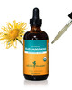 Herb Pharm Certified Organic Elecampane Liquid Extract for Respiratory System