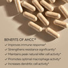 HPD Rx Premium AHCC & Shiitake Mushroom 1100 mg per Serving Supplement, Natural