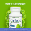 VH Nutrition Ginkgo BILOBA with CortiLyte