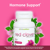 VH Nutrition RED Clover - 700mg Trifolium Pratense Extract