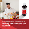 Protocol Sambucus Black Elderberry Liquid - 500 mg Black Elderberry