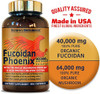 Fucoidan Phoenix Advanced 3 Pack