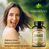 Licorice Root 100 Capsules - Pure Organic Glycyrrhiza Glabra