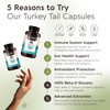 Organic Turkey Tail Mushroom Capsules Supplement (120)