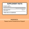 minature Papaya Leaf Tablets 90 Tablets, 1000 mg| 45 Days Supply| Vegan| Papaya