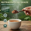 Dimmak Herbs Organic Astragalus Root Extract 10:1 Powder (Ultra Potent Immune