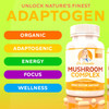 Doctor Danielle Organic Mushroom Complex Supplement