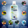 Wellgenix Immune Essentials - 12 in 1 Natural Immune System Support Supplement