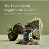 Gaia Herbs SleepThru