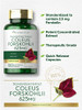 Carlyle Coleus Forskohlii Capsules - 100 Count