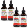 Maxx Herb Ashwagandha Extract