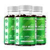 Vitamatic 3 Pack Irish Sea Moss Gummies- 3000mg Equivalent Per Serving - 60 Ct