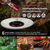BTGIN Saponin Hanppuri Everyday Korean Red Panax Ginseng Extract Stick