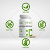 DEAL SUPPLEMENT Ginkgo Biloba 500mg Per Serving, 240 Capsules, 4 Month Supply