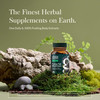 Gaia Herbs Turkey Tail Mushroom