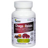 Sayan Siberian Chaga and Organic Reishi Mushroom Extract Supplement