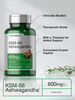 Horbäach KSM-66 Ashwagandha 600mg - with L-Theanine
