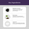 CYMBIOTIKA Adults Elderberry Boost Supplement